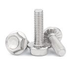 bu lông mặt bích SS